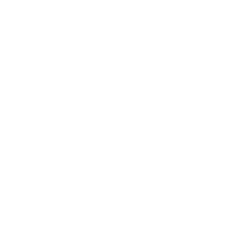 Real Estate Website Design