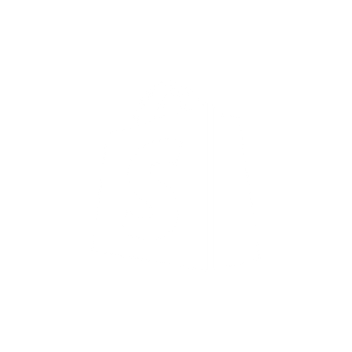 Shopify Website Design<br />
