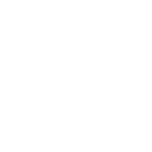 WordPress Web Design