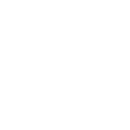 seo service