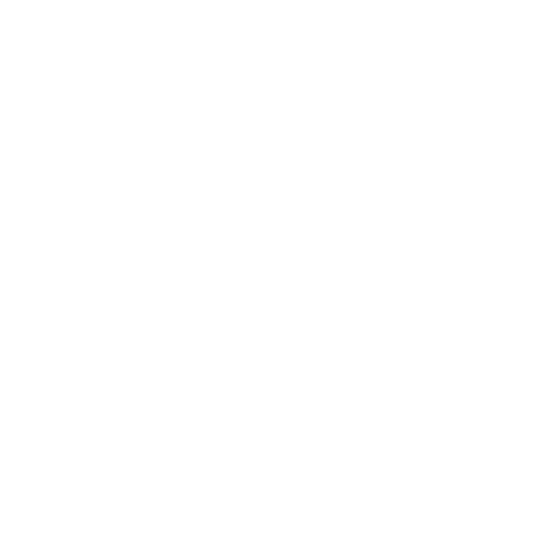 E-commerce Website SEO
